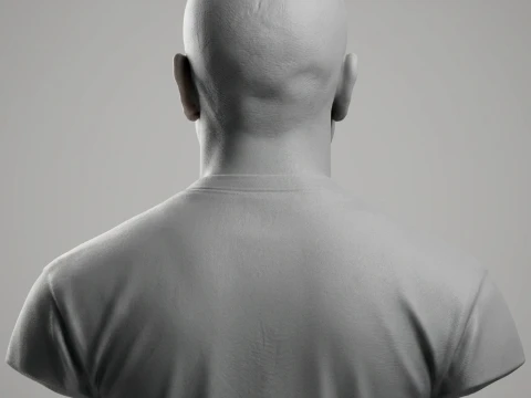 Roy Jones Jr 3D Printable Bust 3D Print Model