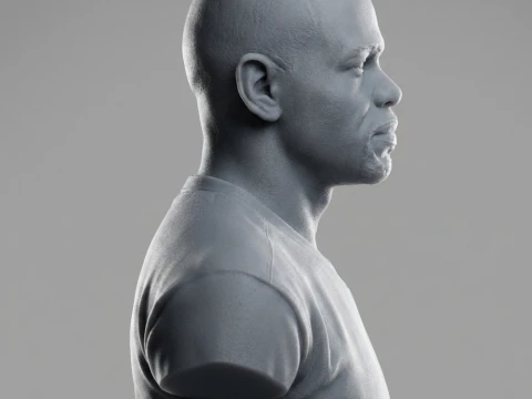 Roy Jones Jr 3D Printable Bust 3D Print Model