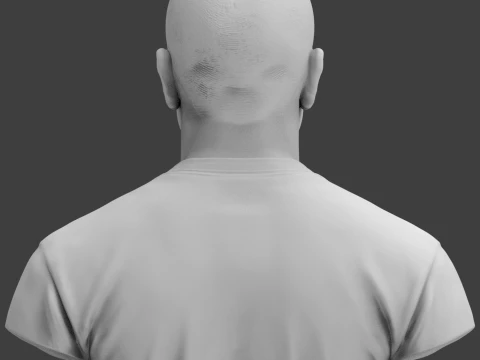 Roy Jones Jr 3D Printable Bust 3D Print Model