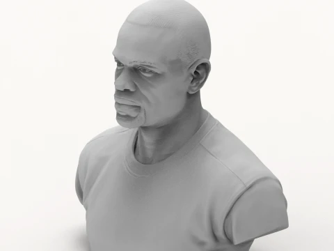 Roy Jones Jr 3D Printable Bust 3D Print Model