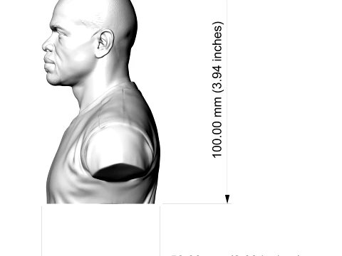 Roy Jones Jr 3D Printable Bust 3D Print Model