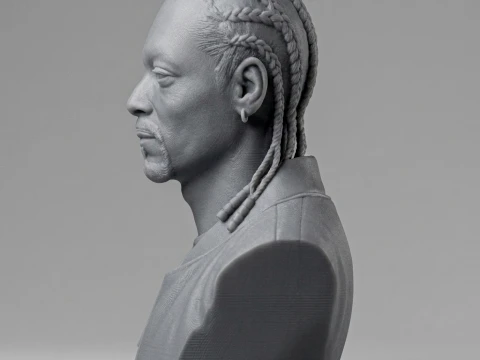 Snoop Dogg 3D Printable Bust 3D Print Model