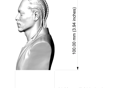 Snoop Dogg 3D Printable Bust 3D Print Model