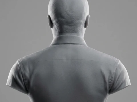 Sugar Ray Leonard 3D Printable Bust 3D Print Model