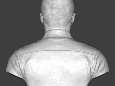 Sugar Ray Leonard 3D Printable Bust 3D Print Model