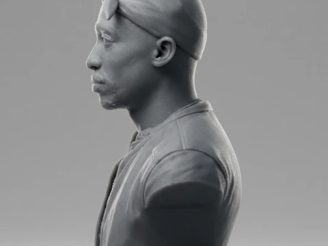 Tupac Shakur 3D Printable Bust 3D Print Model