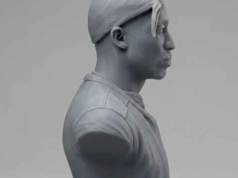 Tupac Shakur 3D Printable Bust 3D Print Model