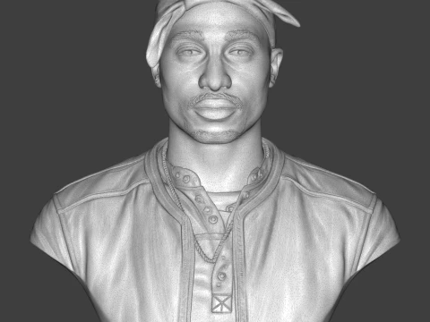 Tupac Shakur 3D Printable Bust 3D Print Model