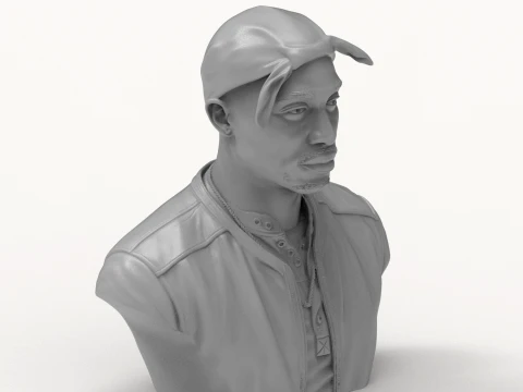 Tupac Shakur 3D Printable Bust 3D Print Model