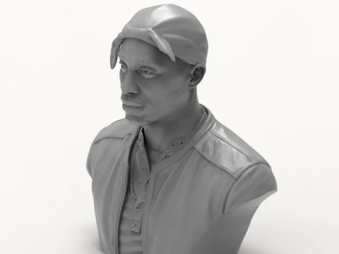 Tupac Shakur 3D Printable Bust 3D Print Model