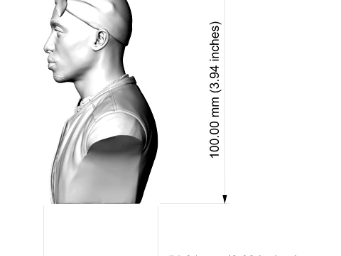 Tupac Shakur 3D Printable Bust 3D Print Model