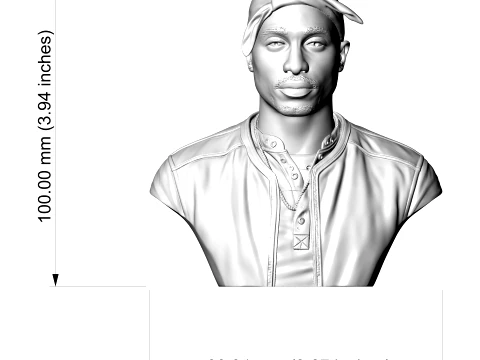 Tupac Shakur 3D Printable Bust 3D Print Model