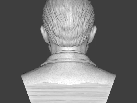 Vincent Van Gogh 3D Printable Bust 3D Print Model