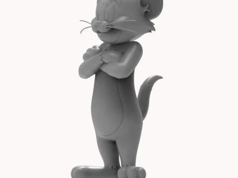 Tom 3D Printable Figure 3D Print Model