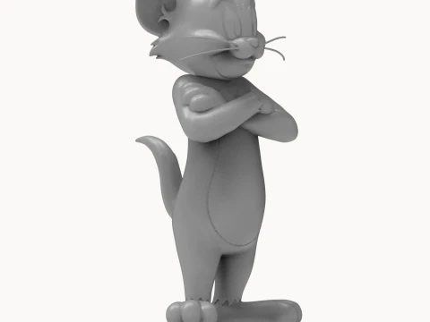 Tom 3D Printable Figure 3D Print Model
