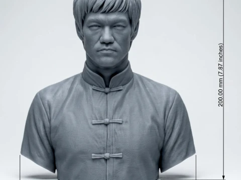 Bruce Lee 3D Printable Bust 3D Print Model