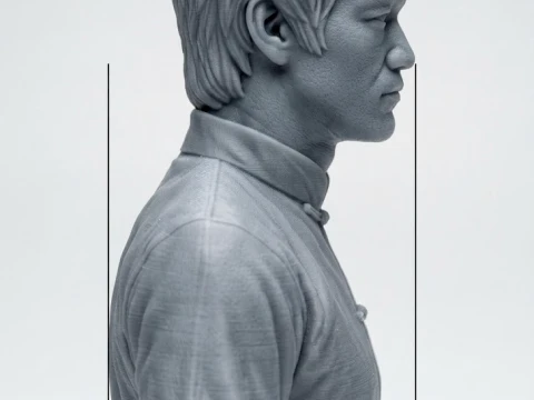 Bruce Lee 3D Printable Bust 3D Print Model