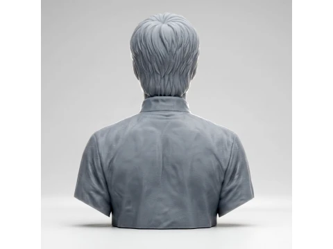 Bruce Lee 3D Printable Bust 3D Print Model