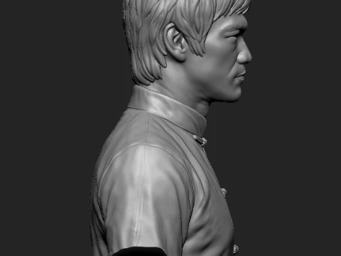 Bruce Lee 3D Printable Bust 3D Print Model
