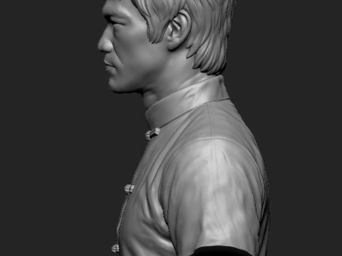 Bruce Lee 3D Printable Bust 3D Print Model