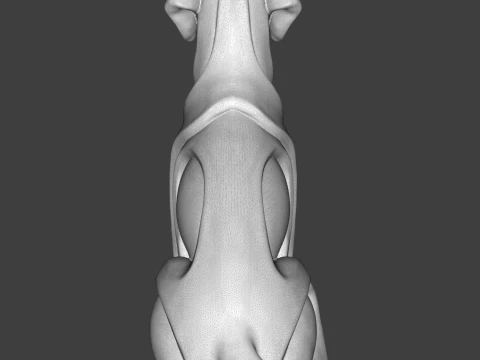 Dog 3D Print Model 3D Print Model