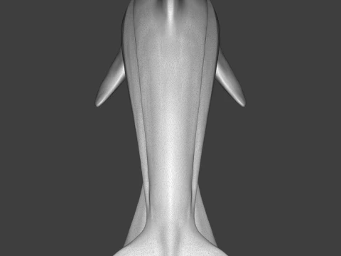 Dolphin 3D Print Model 3D Print Model