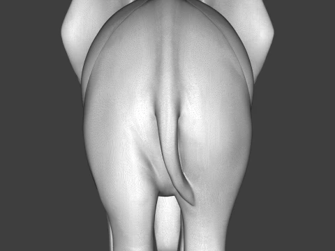 Elephant 3D Print Model 3D Print Model