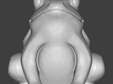 Frog 3D Print Model 3D Print Model