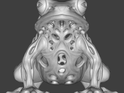 Frog 3D Print Model 3D Print Model