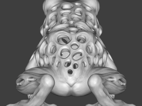 Frog 3D Print Model 3D Print Model