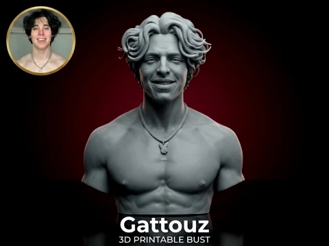Gattouz bust 3D print model 3D Print Model