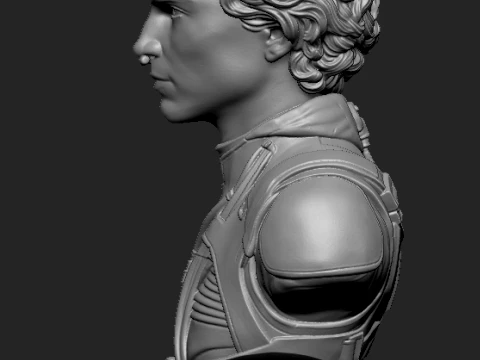 Paul Atreides 3D-Printable Bust 3D print model 3D Print Model