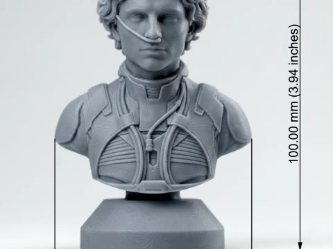 Paul Atreides 3D-Printable Bust 3D print model 3D Print Model