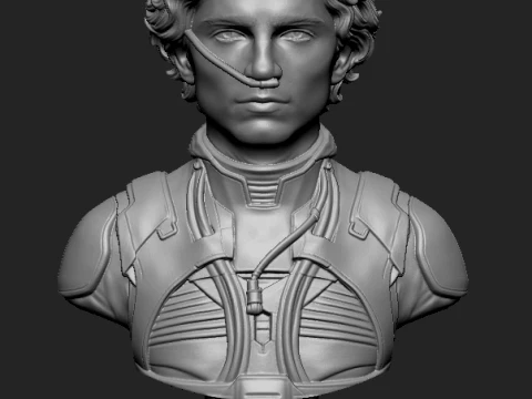 Paul Atreides 3D-Printable Bust 3D print model 3D Print Model