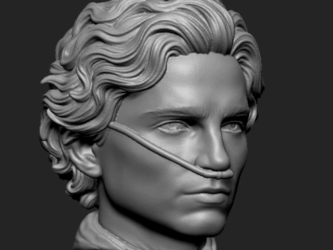 Paul Atreides 3D-Printable Bust 3D print model 3D Print Model