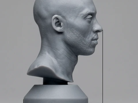 Kobe Bryant Basketball NBA 3D print model 3D Print Model