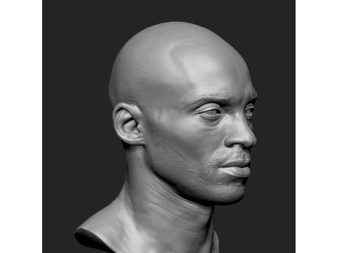 Kobe Bryant Basketball NBA 3D print model 3D Print Model
