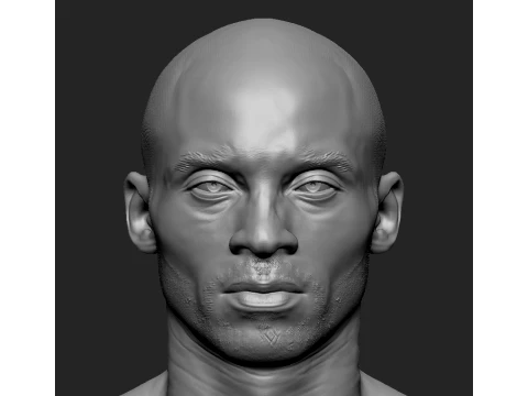 Kobe Bryant Basketball NBA 3D print model 3D Print Model