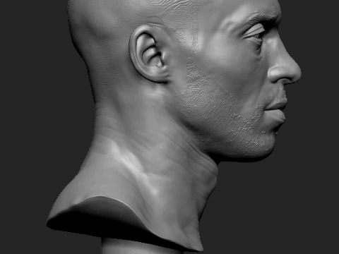 Kobe Bryant Basketball NBA 3D print model 3D Print Model