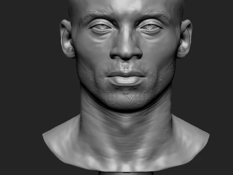 Kobe Bryant Basketball NBA 3D print model 3D Print Model