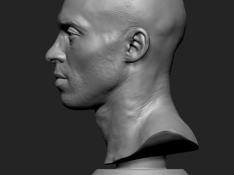 Kobe Bryant Basketball NBA 3D print model 3D Print Model