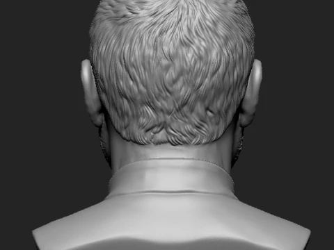 Steve Jobs 3D Printable Bust 3D Print Model