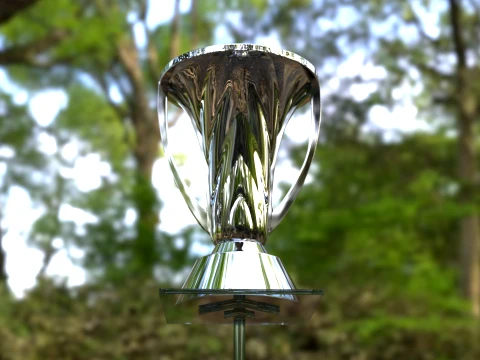 AFC Champions League Elite Trophy -Last Edition -Cinematic-print 3D Model