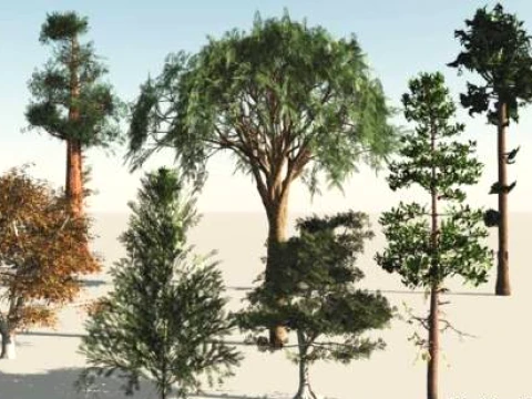 Ativo de &aacute;rvore Setofplant Modelo 3D