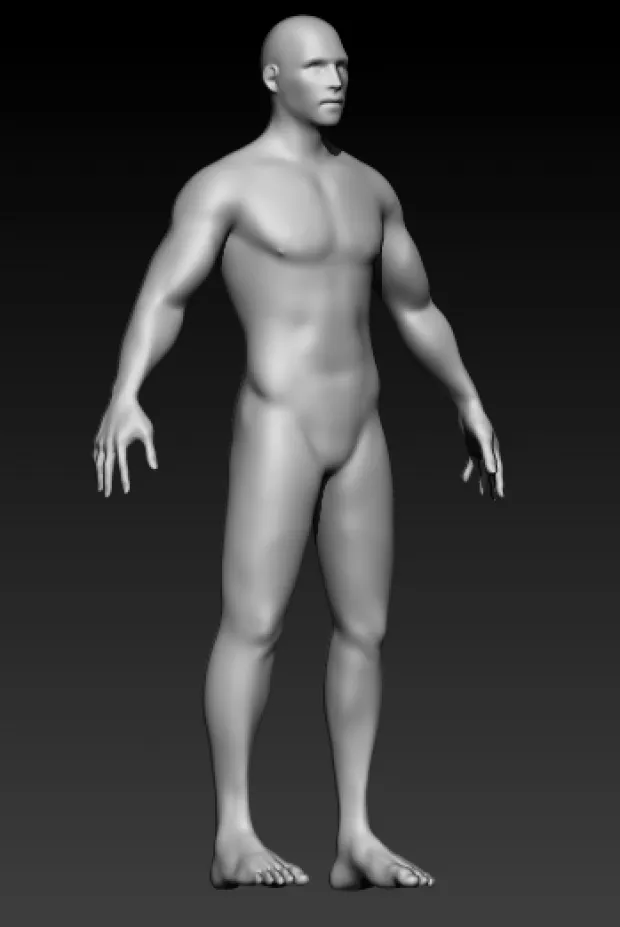 Male Base Mesh 3D Model .c4d .max .obj .3ds .fbx .stl .blend 