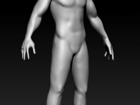 Male Base Mesh 3D Model