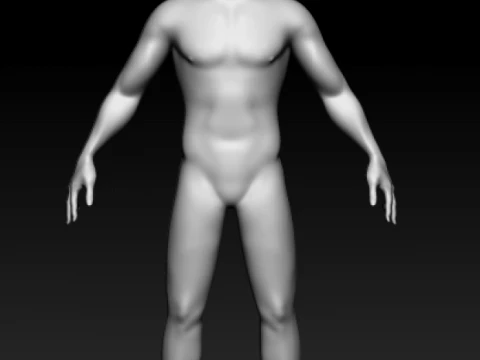 Male Base Mesh 3D Model