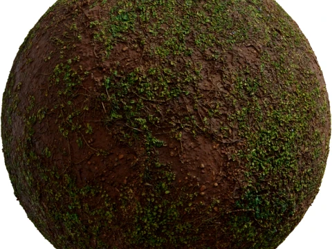 Set of 3 Realistic Natural Grass Ground Texture Pack for 3D Environments CG Textures
