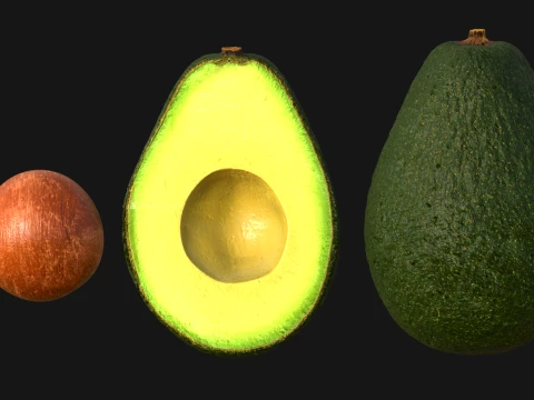 Avocado Set - Whole Half and Seed 3D Model