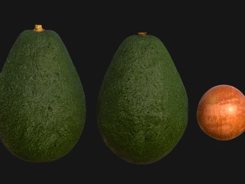 Avocado Set - Whole Half and Seed 3D Model